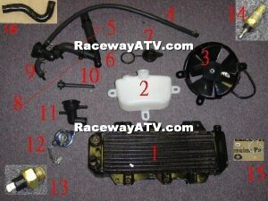 Kazuma 250cc Cooling System Parts