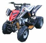 Kazuma Baby Falcon 110 ATV