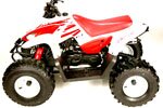 Kid's 90cc Desert Cat ATV