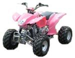 Jetmoto 110cc ATV