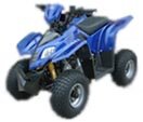 Deluxe 100 ATV Parts