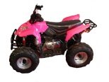 Renegade ATV