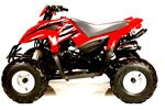 Kid's 50cc Desert Cat ATV